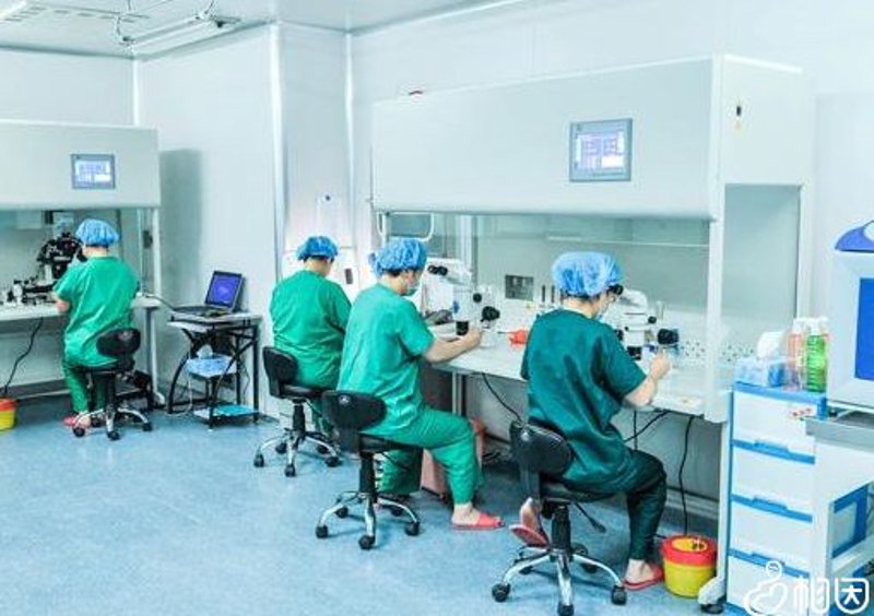 辅助生殖技术：工具推荐与选择指南