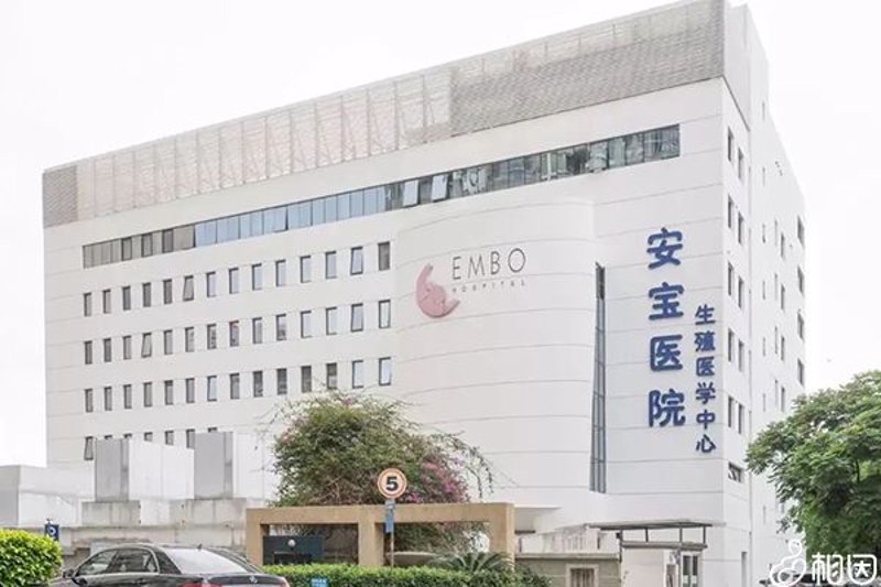 试管婴儿技术越来越普及，但很多人对成功率感到困惑。今天我们就通过故事叙述的方式，来聊聊如何提高试管婴儿的成功率。